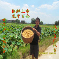 New lily dry goods self-produced by farmers Aralia lily neither bitter nor sour 200g group purchase