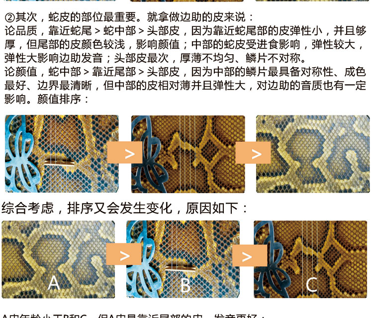 Nhạc cụ Qinqin cao cấp da trăn bốn dây nhạc cụ Qinqin quốc gia gảy trong khi giúp bướm đàn piano nhạc cụ Quảng Đông saotruc maomeo