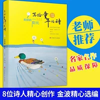 Мягкое солнце