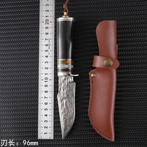 Outdoor VG10 Damascus steel knife pattern knife wilderness self-defense survival sharp straight knife collection gift knife