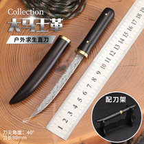 VG10 Damascus Steel Knife Carry-on Mini Knife High Hardness Sharp Open Blade Anti-Body Straight Knife Outdoor Survival Knife