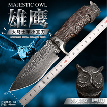 Hand forged beat Damascus Steel knife wilderness begging for raw outdoor small straight knives collection patterned molten steel fruit knife small knife