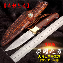 Wild survival VG10 steel core Damascus straight knife high hardness sharp knife outdoor pattern steel collection knife