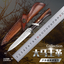 Hand forged beat Damascus Steel knife wilderness begging for raw outdoor small straight knives collection patterned molten steel fruit knife small knife