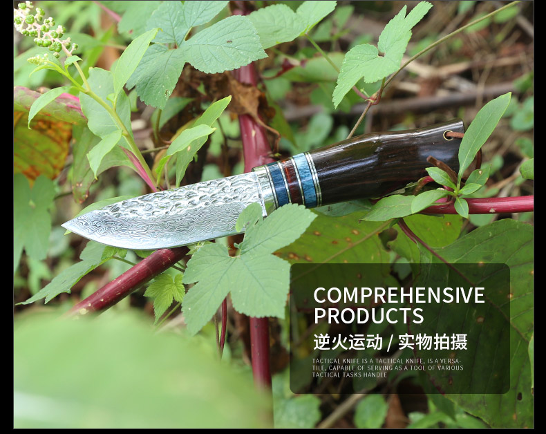Dao thép mới Damascus Độ cứng cao ngoài trời Công cụ nhỏ sắc bén Chiến thuật di động Trường sinh tồn Tự dao thẳng - Công cụ Knift / công cụ đa mục đích dao đa năng victorinox
