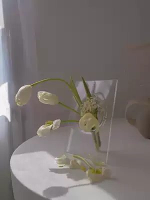 NICEONE design glass photo frame vase Korea ins Nordic home bedroom living room desktop decoration without flowers