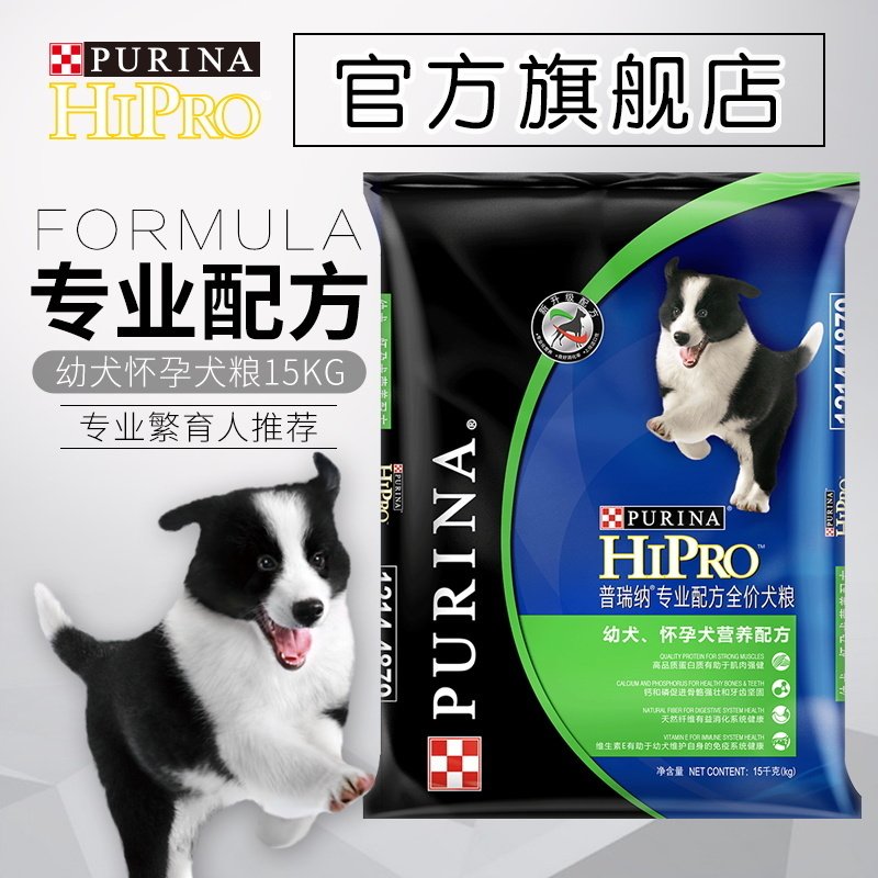shiba inu purina