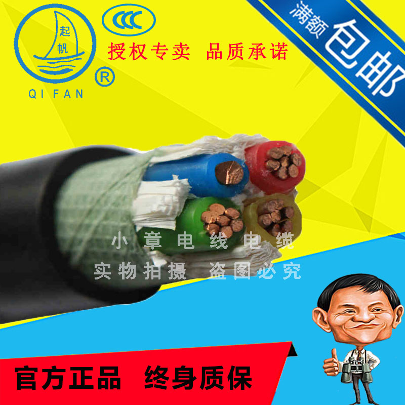 Sail wire and cable all copper national standard YJV2 core X10 square power plastic cable VV2*10