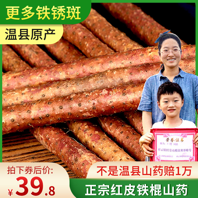 Jiao Zuowen County Redskins Bone Chicken Earth Iron Stick Yam Henan Huai Mountain Fresh Authentic Zong 5 Catty Loaded Iron Rod Huai Mountain Special Production