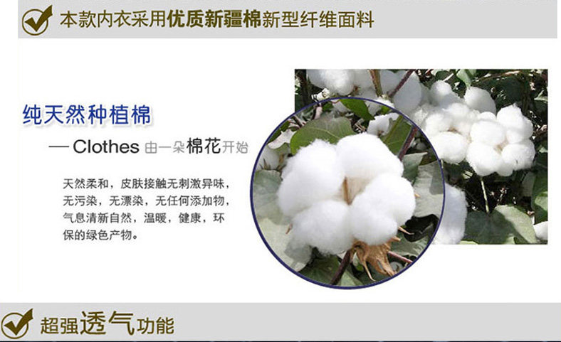 Sous-vêtement thermo Moyen-âge simple en coton - Ref 748950 Image 10