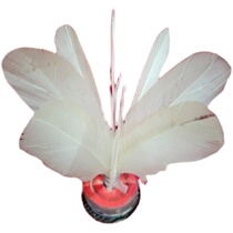 Shenyang Binbin flower shuttlecock white eight-flower shuttlecock 20 from remote areas not