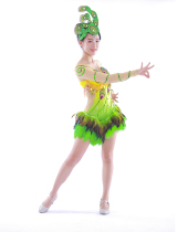 Peacock dance costume adult female 2017 new product minority performance clothing children Dai dance costume custom