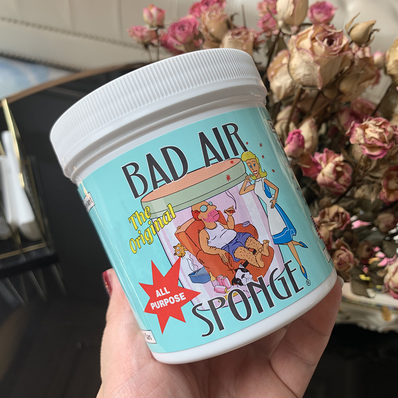 美国Bad Air Sponge空气净化器除甲醛新汽车新房除异味甲醛清除剂-Taobao