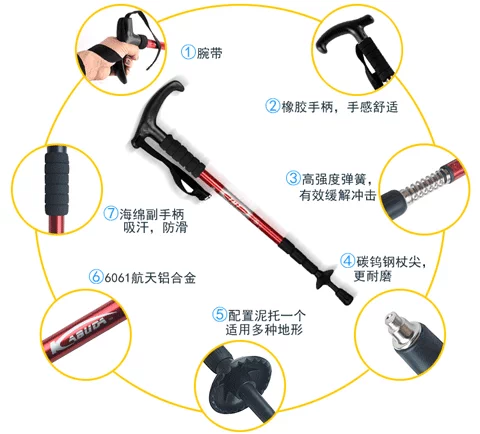 Leo núi chống nạng - Gậy / gậy