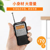 Panda 6209 Small Mini Radio for the Elderly, Stereo Full-Band Card-Insertable Portable Broadcast Semiconductor