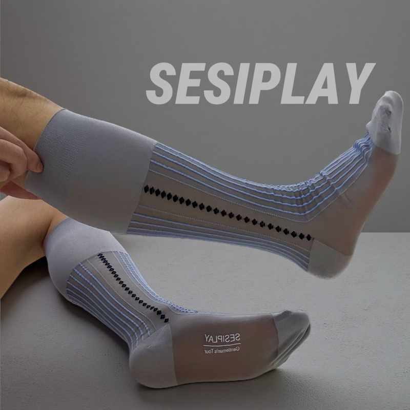 Sesiplay Gentleman Series Black Men's Gentleman's Wear Nylon Stockings Smooth Semi-Transparent Mid-Calf Socks