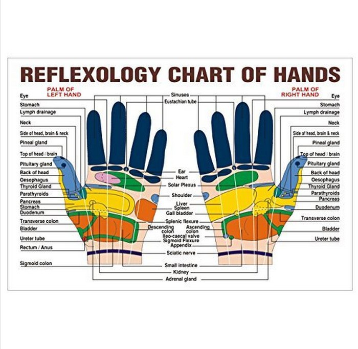 Top Of Hand Reflexology Chart