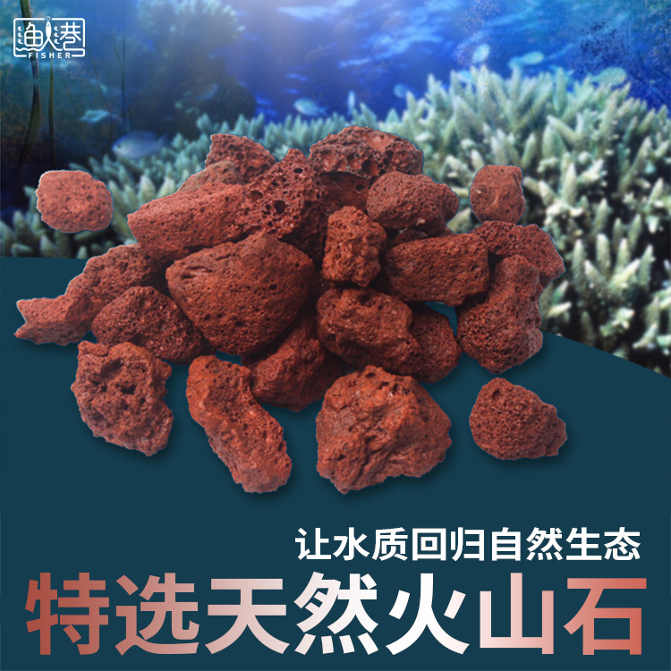 Fish tank filter material volcanic rock volcanic ash adsorption strong flower arhat color start aquarium landscaping decoration volcanic stone