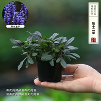 Джи двенадцать синглов