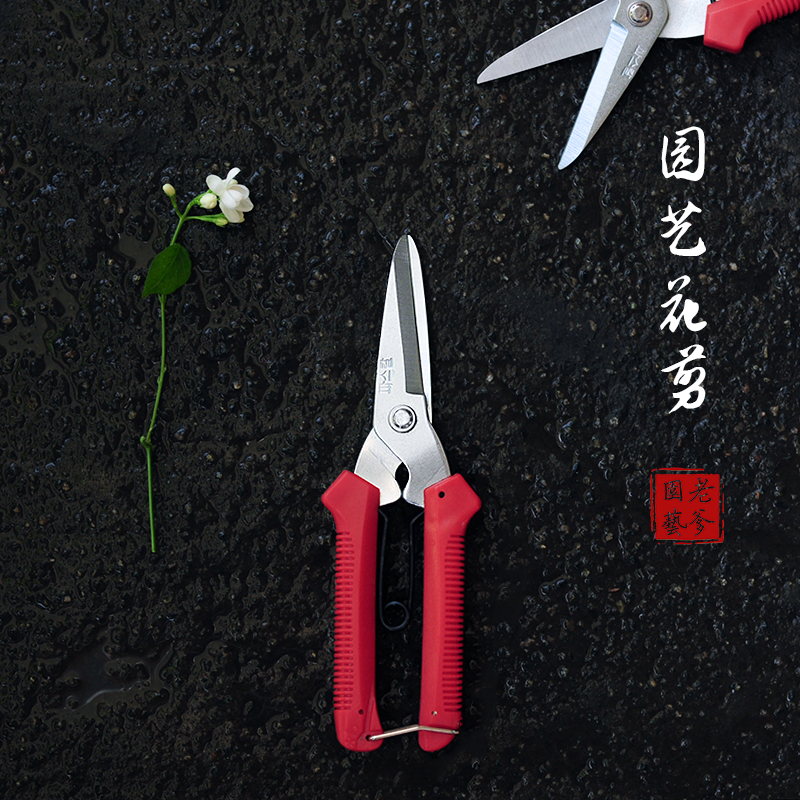 Gardening Flowers Cut Iron Art Home Scissors Flowers Inserts Gardening Potted Potted Bonsai Flowers Fruit Pruner Tools Garden Custard Labor-saving