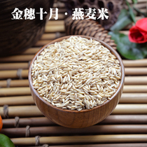 Golden Spike October Oat Rice Raw Oat Kernel Slice Farm Naked Oat Ancient Whole Germ Rice Grain 500g