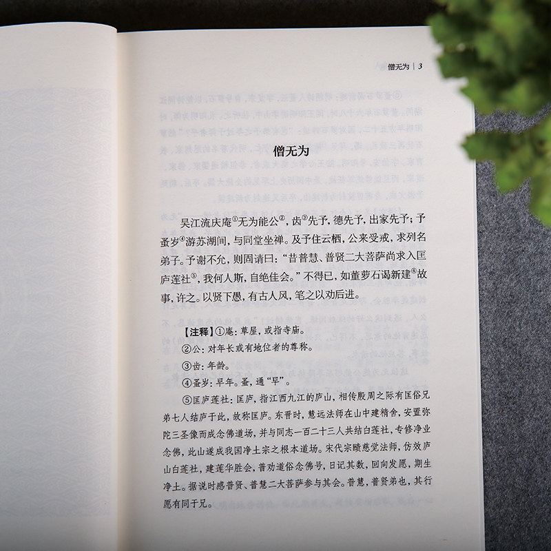 竹窗随笔正版袾宏著:国学经典中的处世智慧,修心养性必读书籍!-中国古代随笔-淘宝好物网