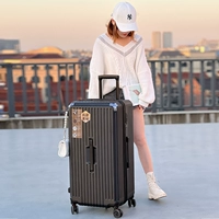 Темные ночные черные фрукты, закрытые царапин, линейные бактериальные внутренние внутренние