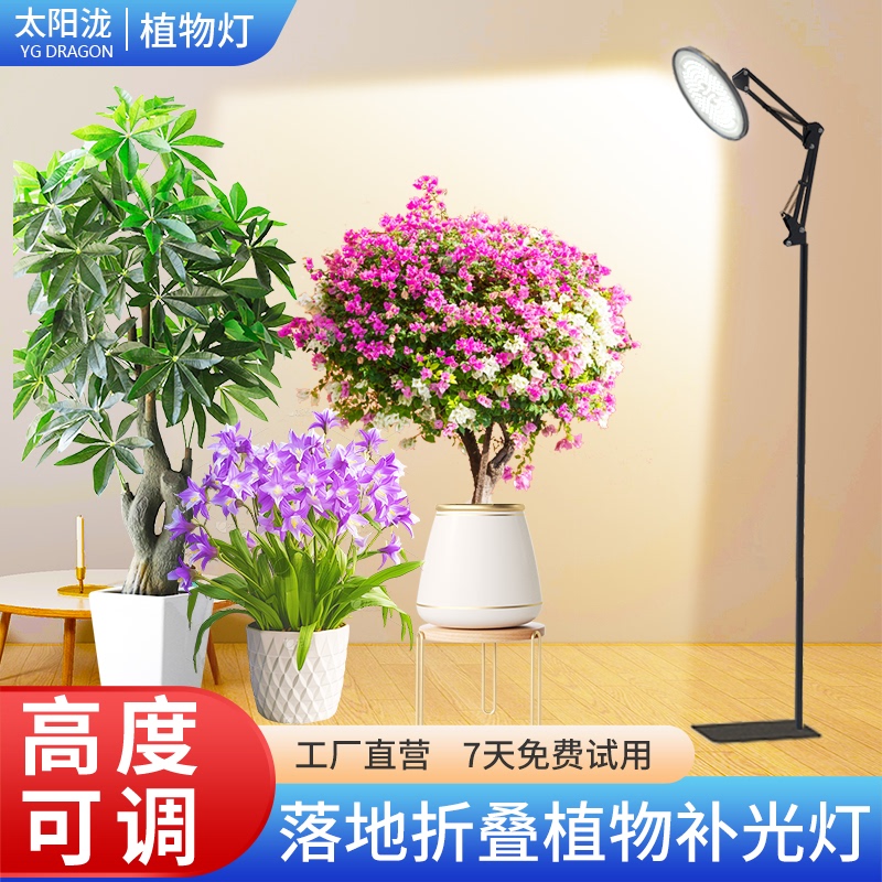 Floor-Standing Plant Grow Light, Sunlight Simulation Lamp, Full Spectrum Balcony Indoor Rose and Bougainvillea Growth Light