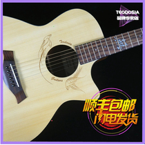 Teodosia folk guitar special beginner girl jita student Beginner Novice guitar electric box boys