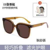 B Модель осенней пряжи чай [Ultra -Light TR зеркальная рама+нейлоновая линза]