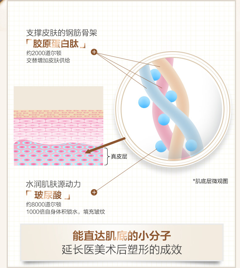 Мышечный белтический пептид (изменение) _05.jpg