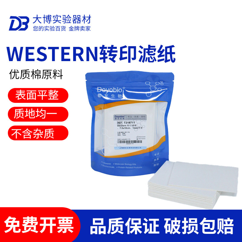 国产伯乐WB转印滤纸 转膜湿转滤纸 适用伯乐/天能/六一Thermo转印