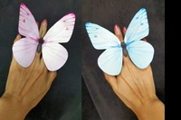 Бабочка Юнь [Порошок 1 орхидея 1] Бабочка пальца 1 пара диаметром около 13,5 см