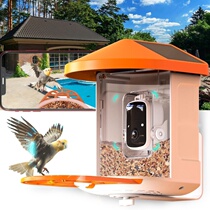 New intelligent bird feeder with camera outdoor feeding device Solar charging wireless bird feeding device monitoring