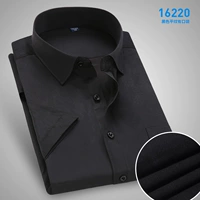 【Короткий рукав】 【16220 Черная плоская линия】