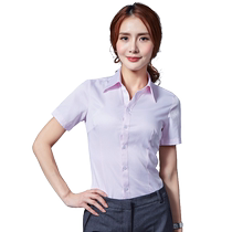 Berman white shirt womens short sleeve summer dress Korean version of slim body pink V-collar work clothes Lady shirt