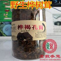 Changbai Mountain imported birch velvet Birch brown hole fungus Birch tears Natural wild birch yellow birch bile