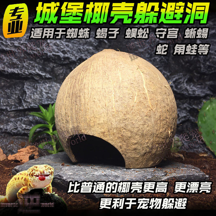 Reptile coconut shells to avoid caves, hidden coconut shells, palace spiders, scorpions, hermit crabs, pet snakes, and reptile boxes for landscaping