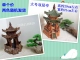 Rockery bonsai con lắc nhỏ bể cá đài phun nước gốm sứ gazebo gian hàng đặt nước đá làm vườn cung cấp