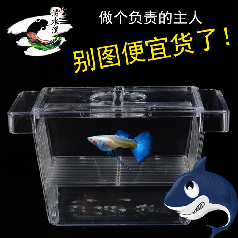Fish fry double fish tank propagation box peacock fish hatchbox hopper small fish juvenile fish fry aquarium isolation box small number