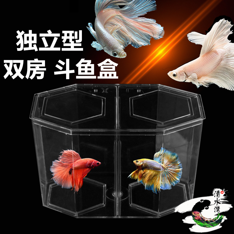 Small Bucket Fish Tank Isolation Box Double Room Fish Fry Breeding Breeding Box Office Fish Table Gold Fish Tank Bucket Fish Box
