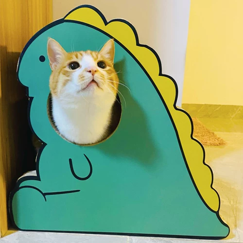 Dinarnut Cat Cat схватил доску без крошек, а кошки схватили кошки.