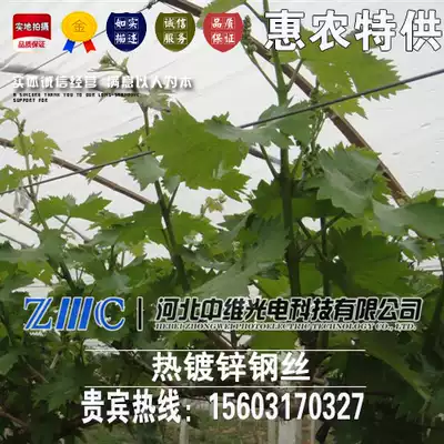 1 8mm hot-dip galvanized steel wire widely used grape rack greenhouse animal husbandry agricultural quality assurance yellow iron wire