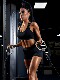 Integrated Trainer Handle, Bird Mechanical Parts, Rowing Pull-Down Back Pull Parts, Large Strength Fitness Equipment Handle