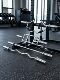 Professional Bicep/Tricep Training Barbell Swiss Olympic Bar Multi-Position Deadlift Bar for Men Home Fitness Personal Training Bar