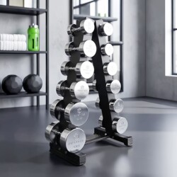 Feishida Pure Steel Fixed Electroplated Dumbbell Commercial Personal Training Home Gym Dumbbell Rack Set with Door-To-Door Delivery