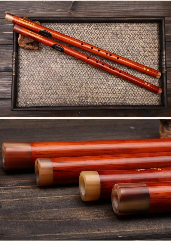 Nhạc cụ Bawu Xuanhe Red Rosewood Cross-blow Professional Performance Bau. - Nhạc cụ dân tộc đàn bầu