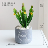 Серая модель+цветочная сказочная ладоня