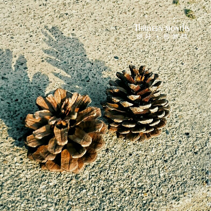 Natural Pine Nuts American Great Pine Tower Wet Ground Pine Dyeing White Christmas DIY Decorative Shop Window Hem shooting props