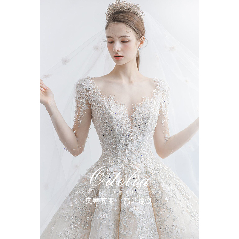 Odelia《Flower Path》Wedding Dress 2026 New Style Bride Light Luxury Niche High-End Classy Long Train Long Sleeves